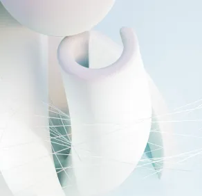 Small software house research and development of new technologies